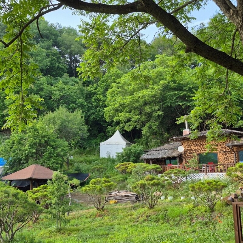 강원더몰,(평창건강충전소)힐링팜크닉/그램핑/황토집/숙박체험