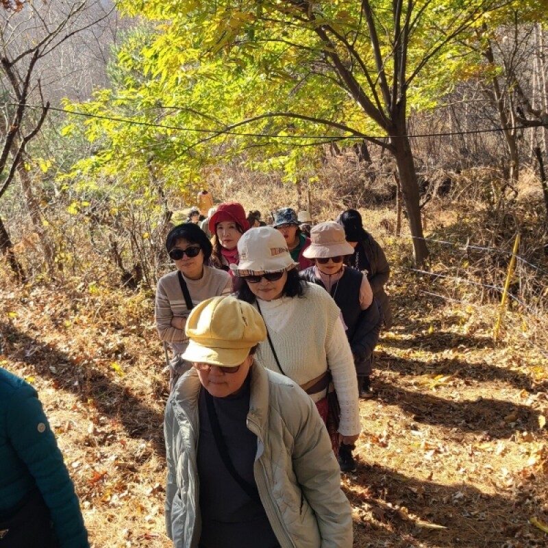강원더몰,(평창건강충전소)수확체험/천지애힐링팜크닉